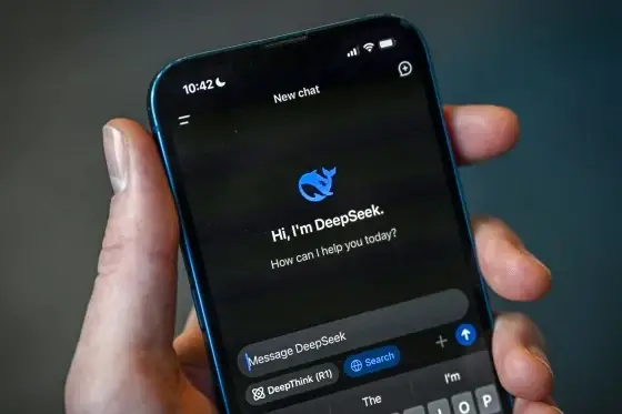 DeepSeek AI for Finance